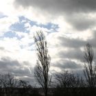 und noch immer ziehen die Wolken flott übers Land