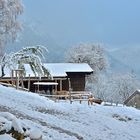 Und noch mal Schnee am Tannerhof