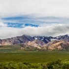 und noch mehr Berge aus dem Denali National Park