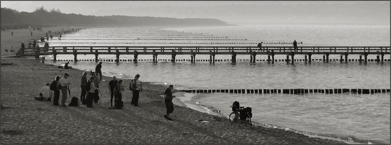 ... und noch mehr Fotograf*innen ...!