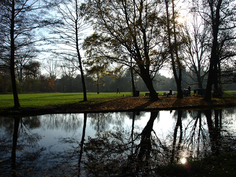 ..und noch mehr Herbst....