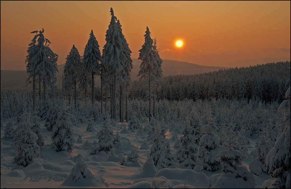 ...und noch mehr Schnee