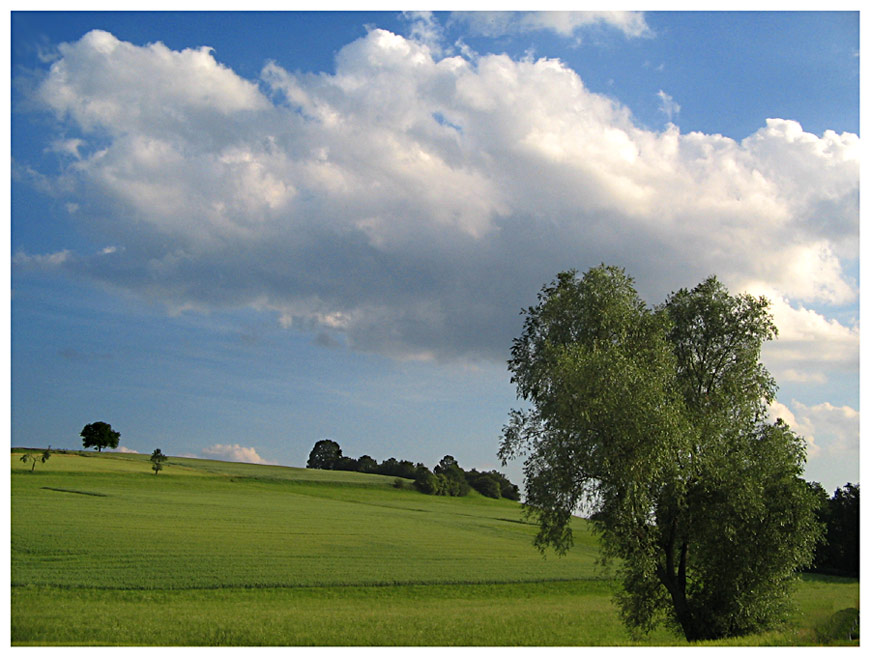 und noch ne grüne Wiese