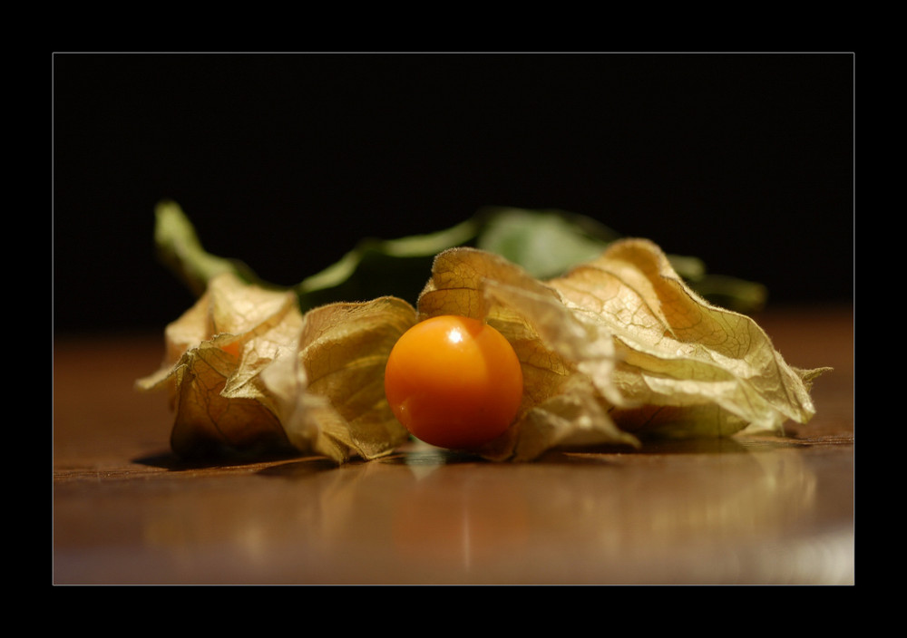 ... und noch ne' physalis