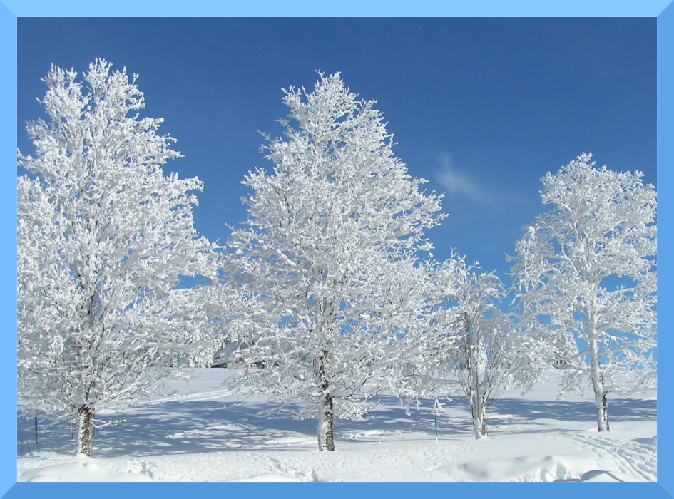 ...und noch ´ne Wintermärchenpostkartenansicht