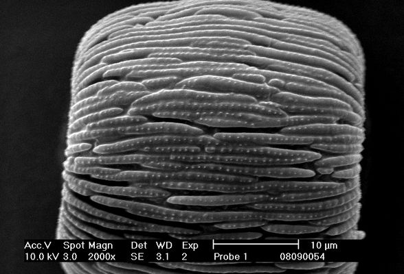 ....und noch viel größer...