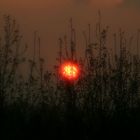 ...und nochmal derselbe Sonnenuntergang ;o)