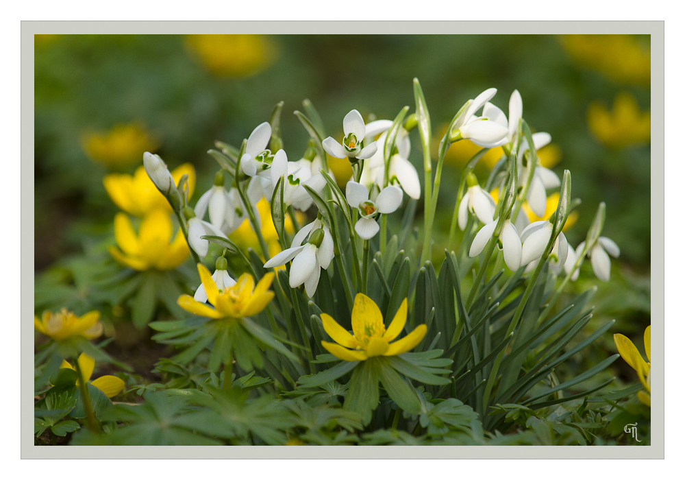 Und nochmal einen Blick in den Frühling