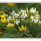 Und nochmal einen Blick in den Frühling