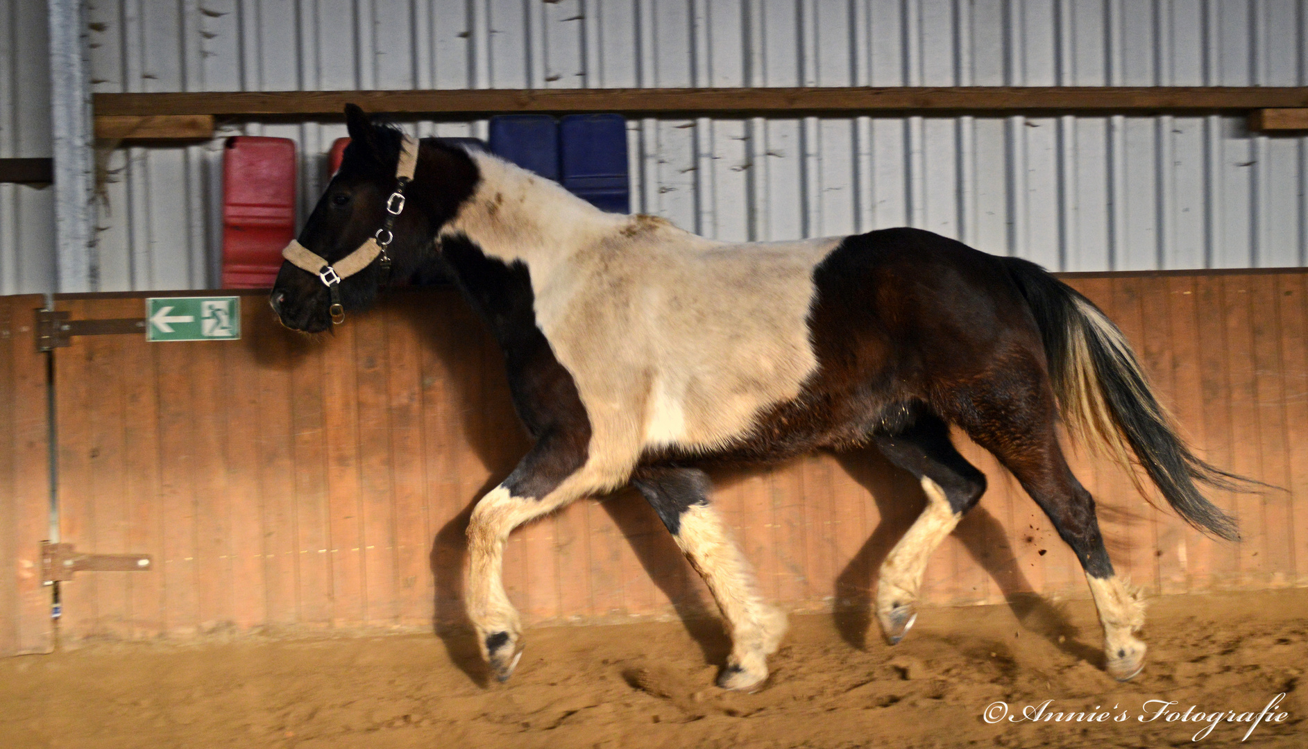 Und nochmal Flash