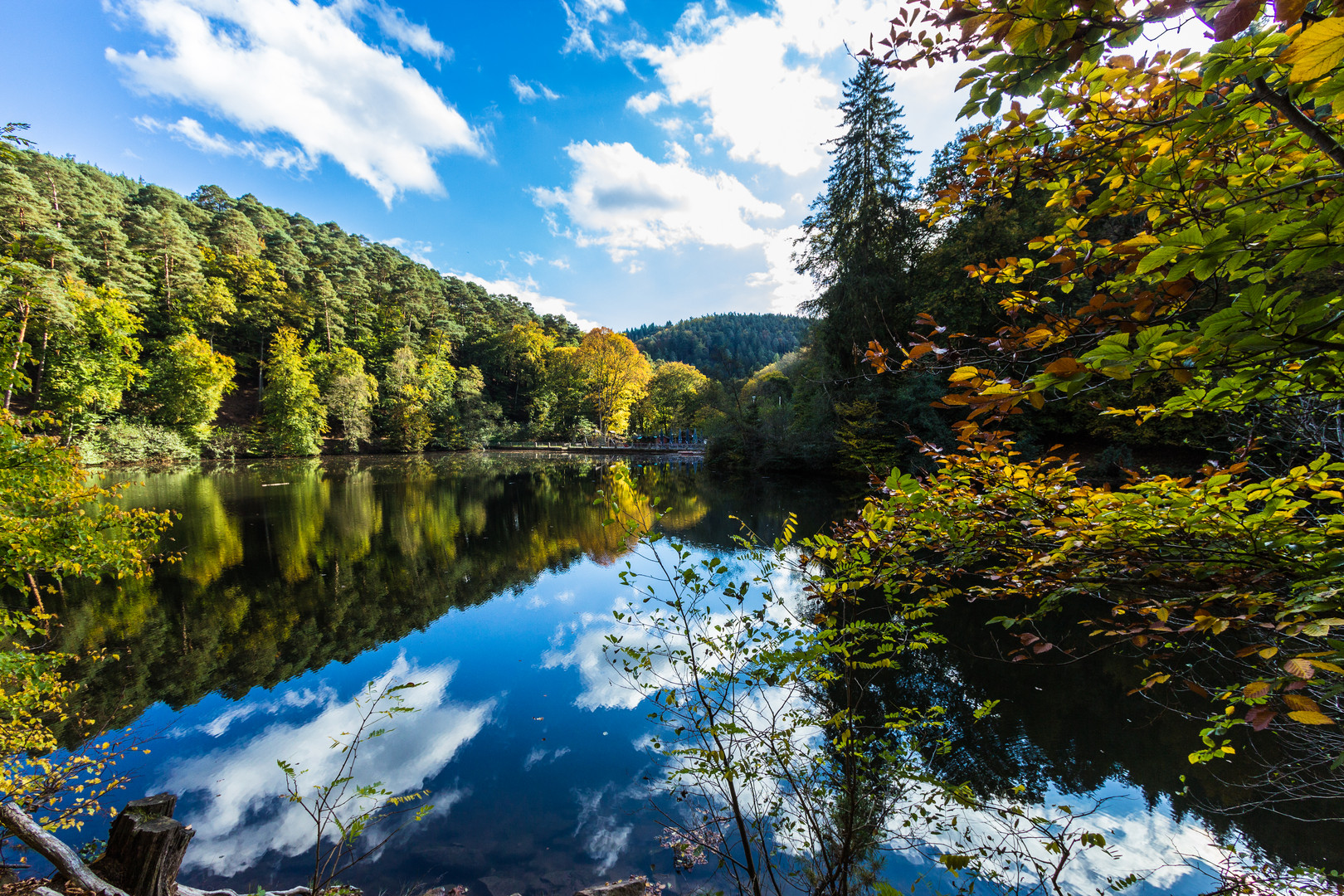 und nochmals Isenachweiher