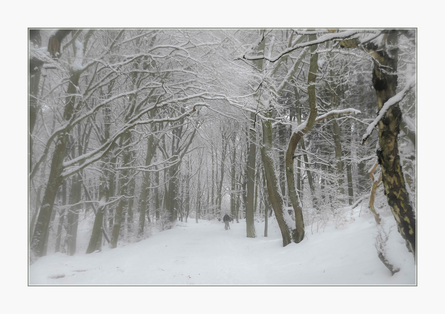 Und nochmals Winterwald