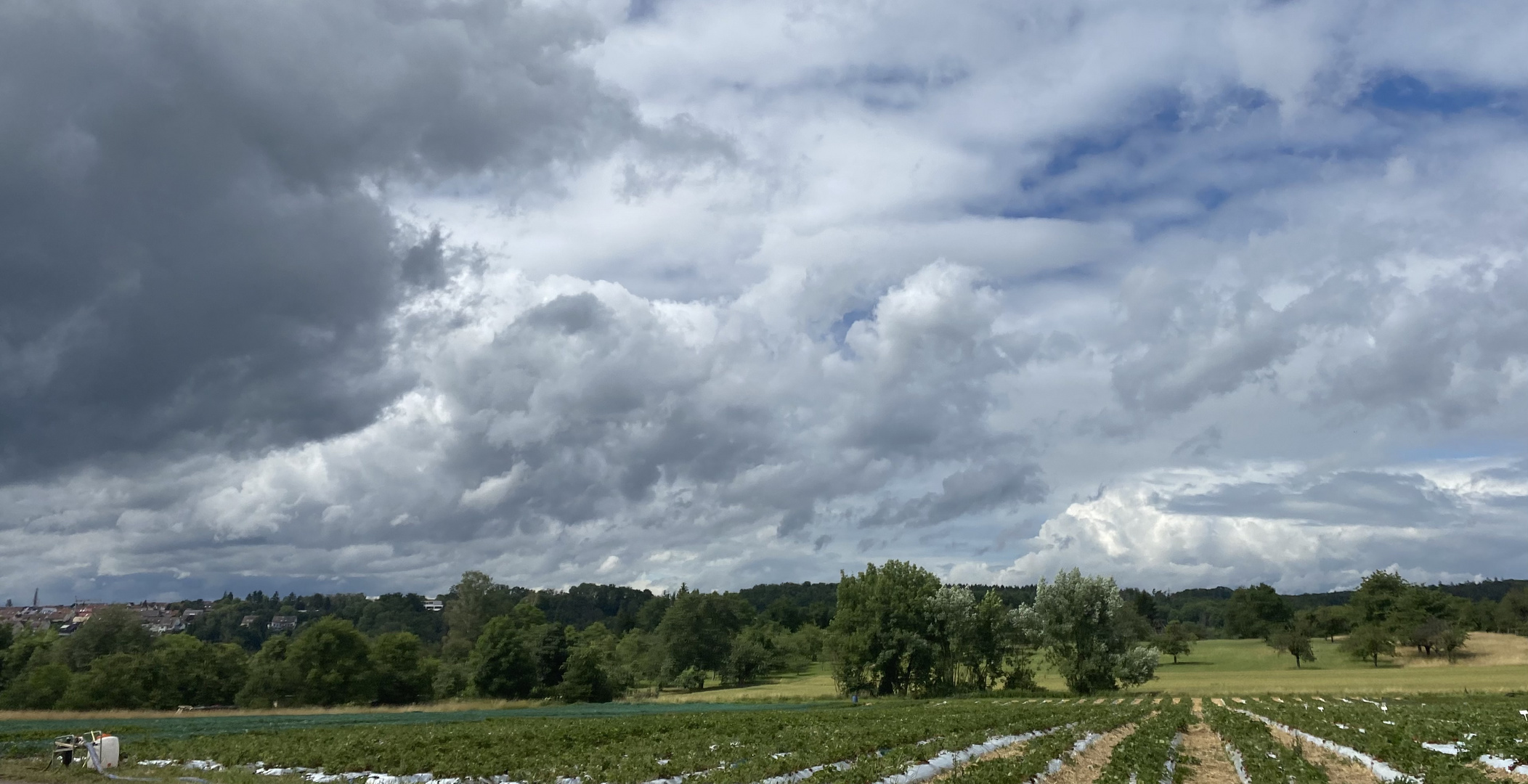 Und nun beehrt uns wieder ein Landregen 