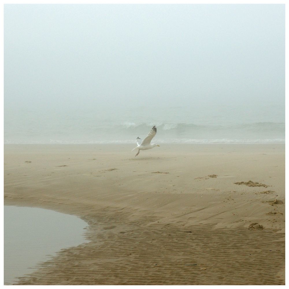 Und nun, da sich der Nebel lichtet...