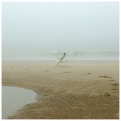 Und nun, da sich der Nebel lichtet...