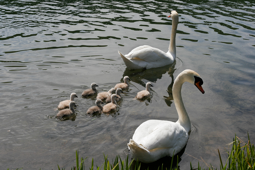 " Und nun die ganze Familie on Tour "