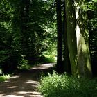 ,,,und nun gehts in den Wald