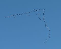 ... und nun sind sie weg.