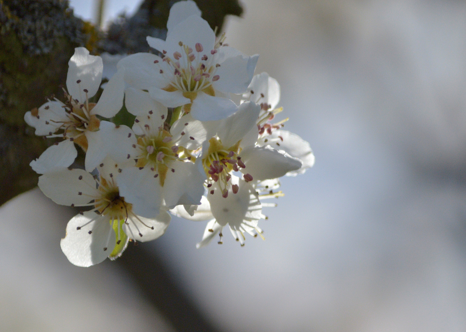 Und plötzlich dieser Frühling