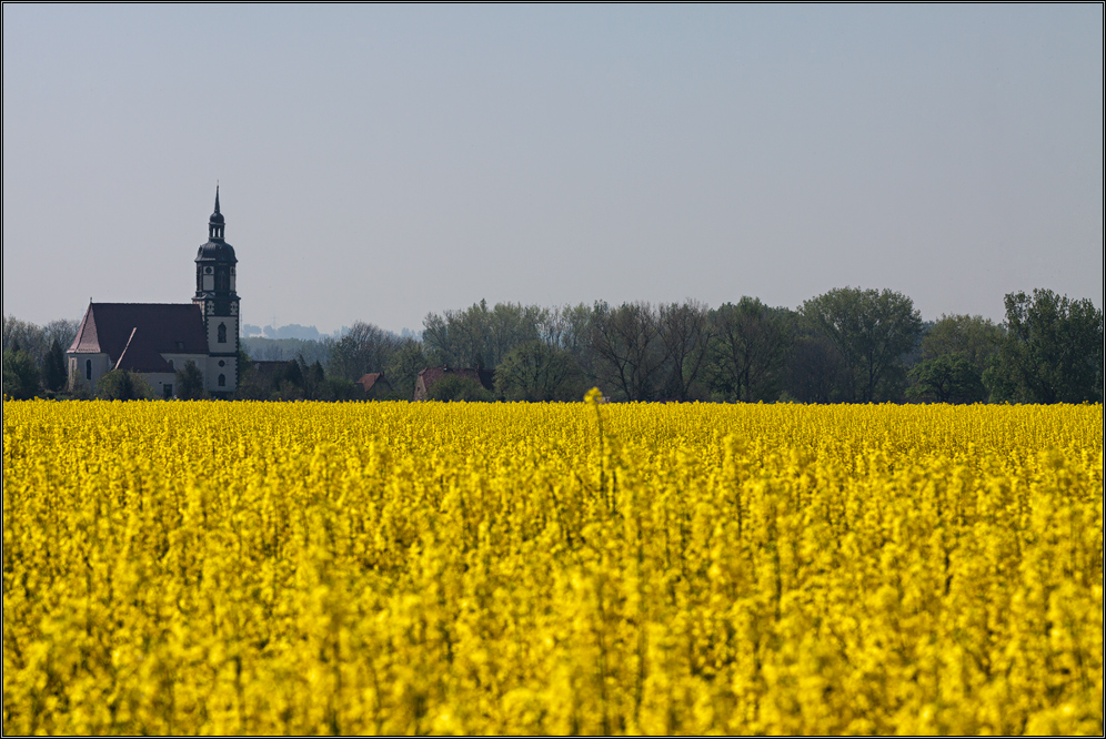 Und plötzlich ist der Sommer da