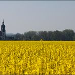 Und plötzlich ist der Sommer da