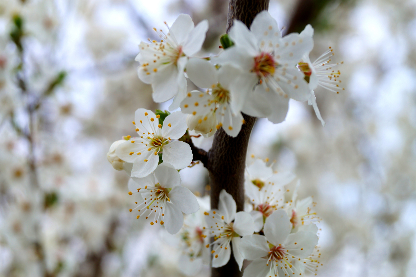 Und plötzlich ist es Frühling