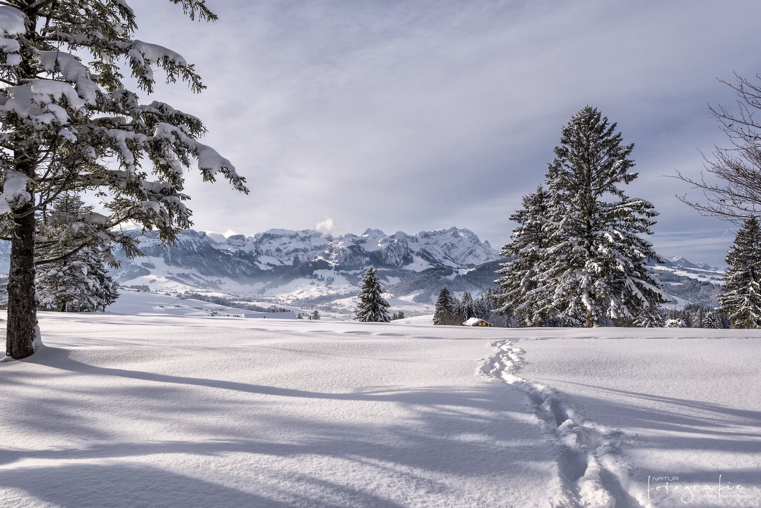 ... und plötzlich ist es Winter ....