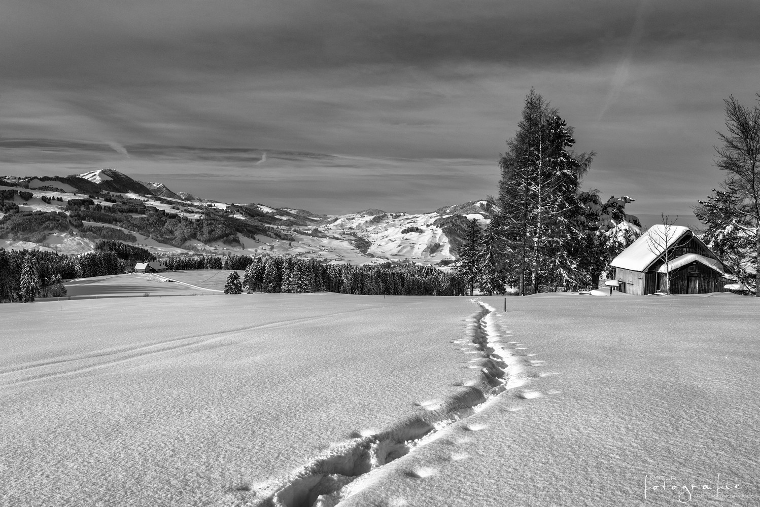 ... und plötzlich ist es Winter  ...