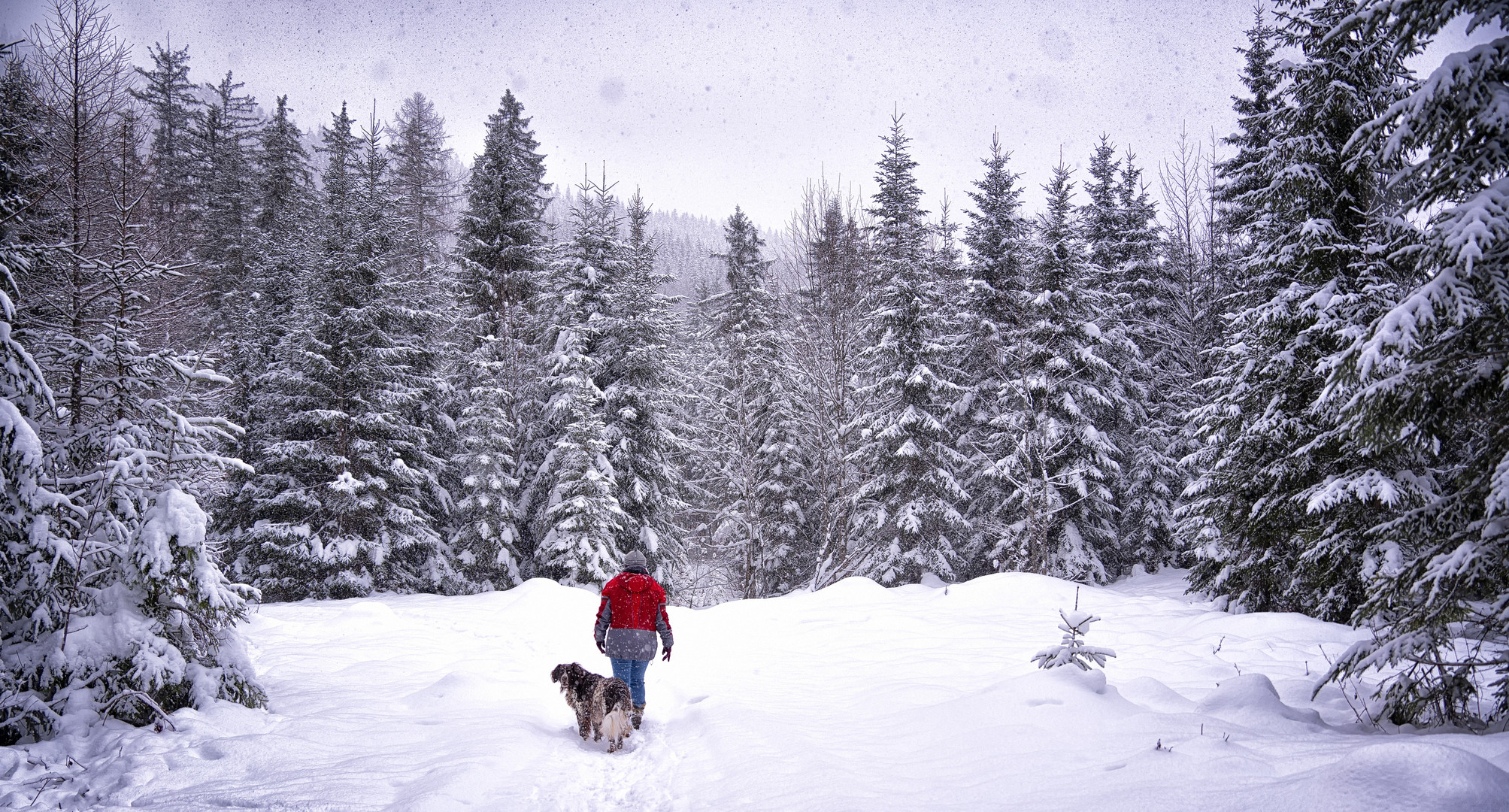 . . . . und plötzlich ist Winter