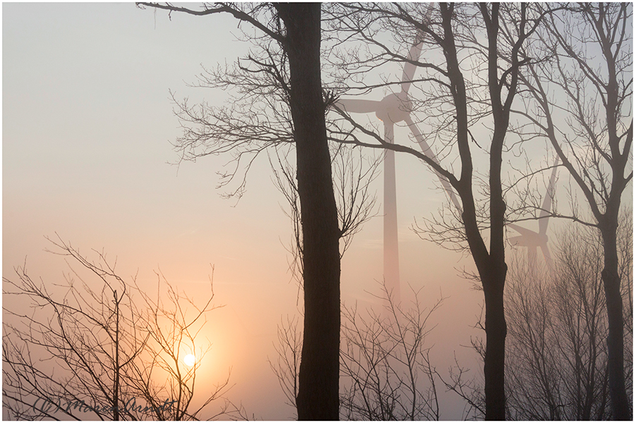 Und plötzlich kam der Nebel