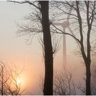 Und plötzlich kam der Nebel