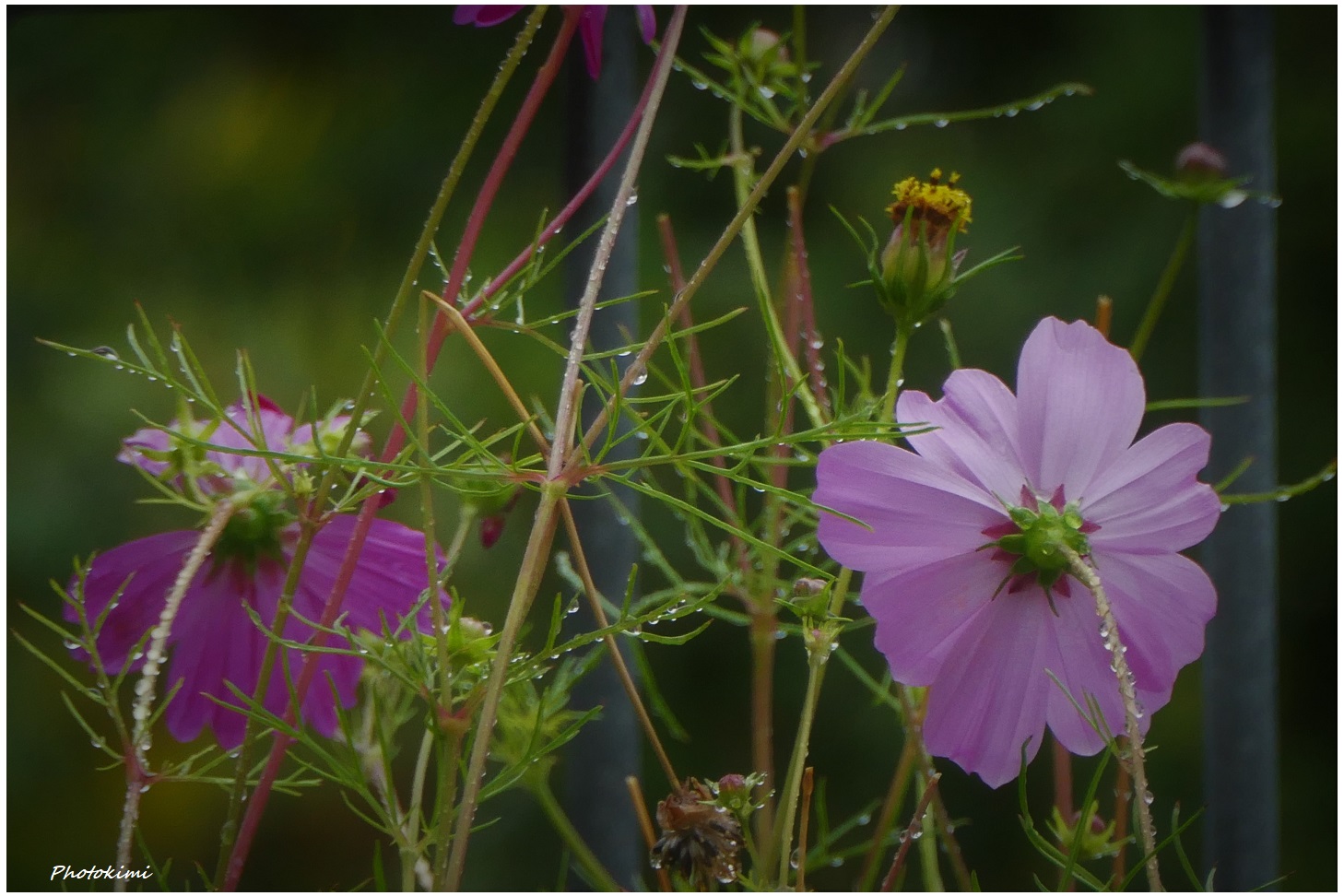 Und plötzlich vorbei war der lange Sommer