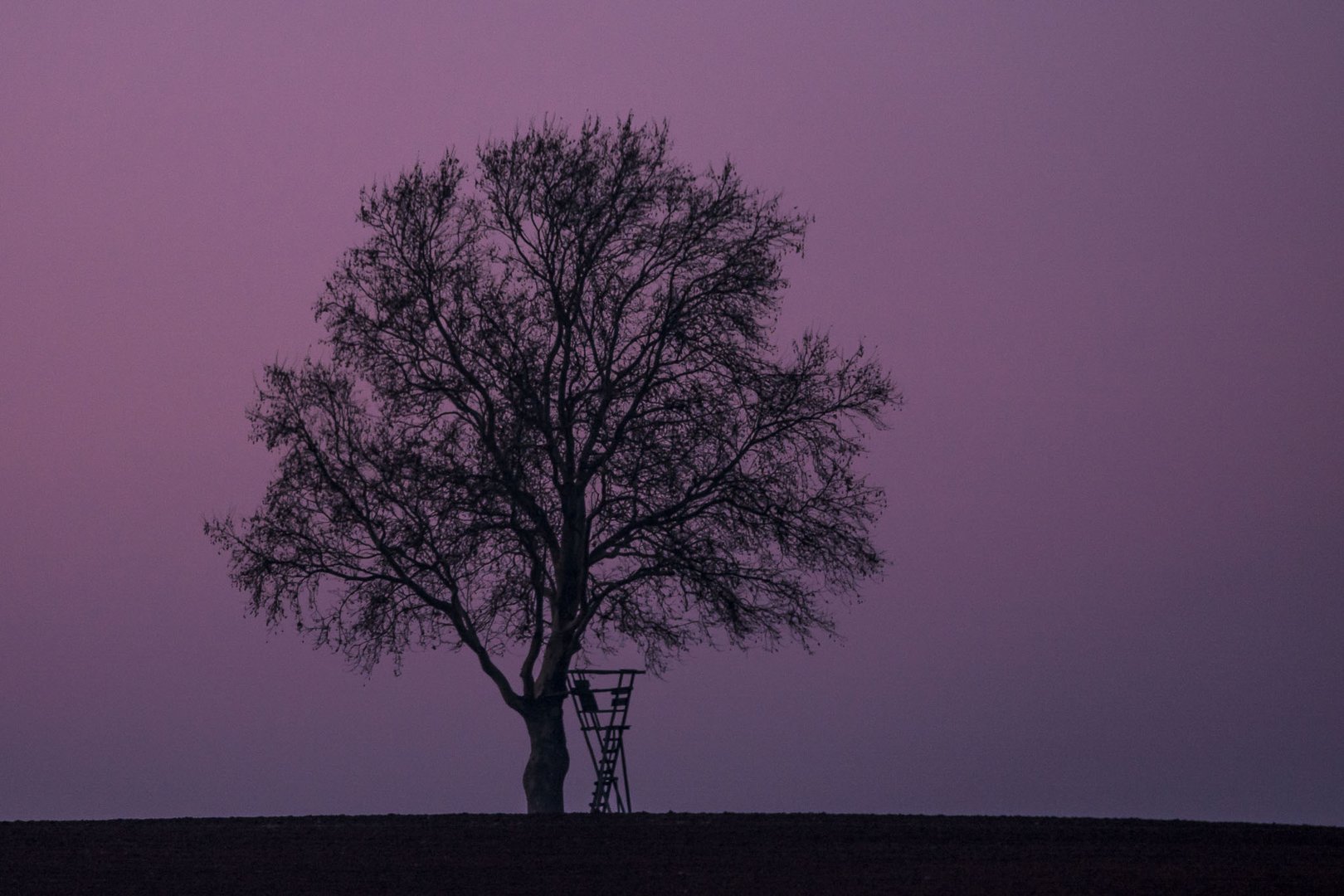 Und plötzlich war der Himmel ganz rosa...