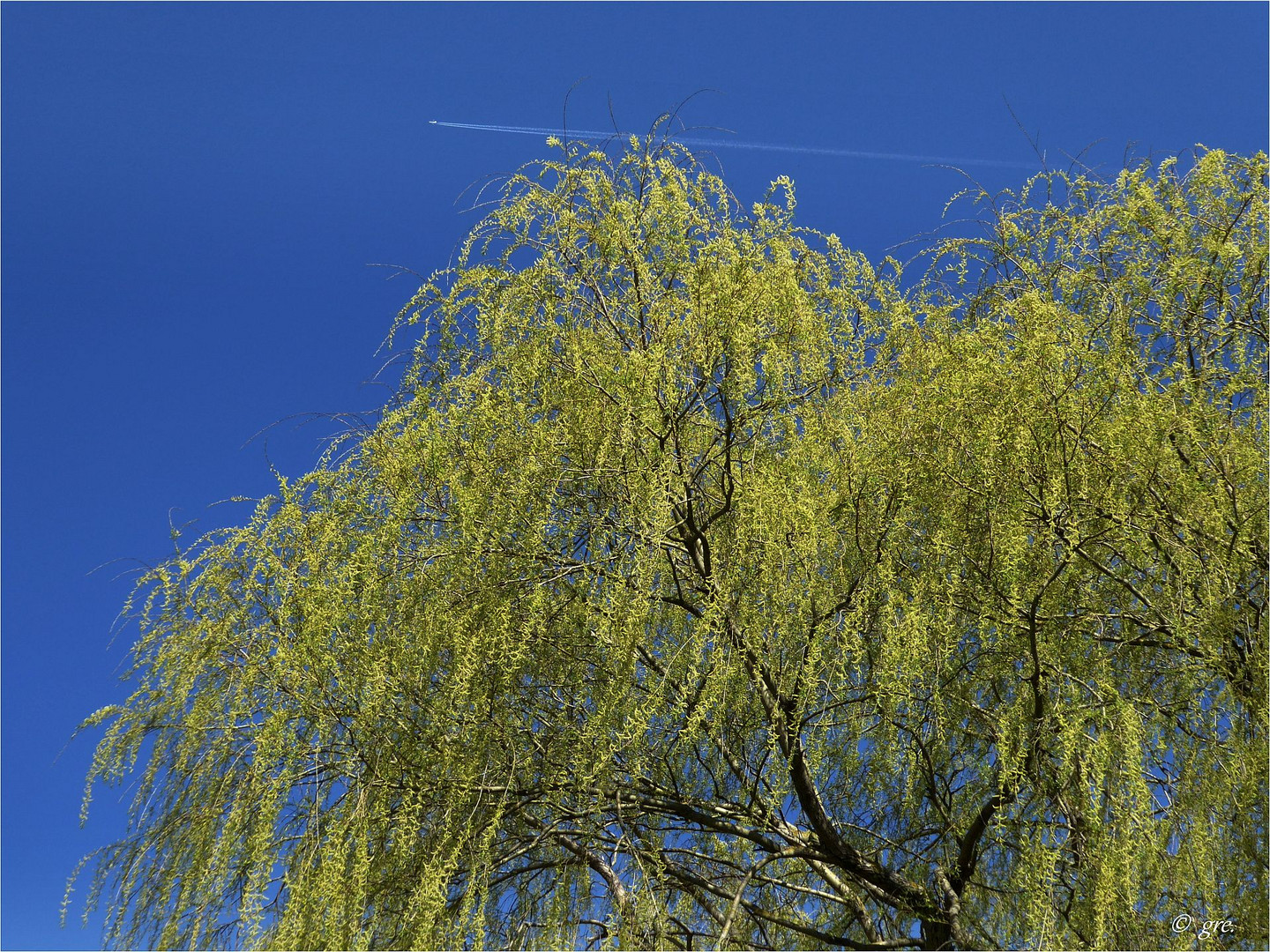 Und plötzlich war es Frühling *