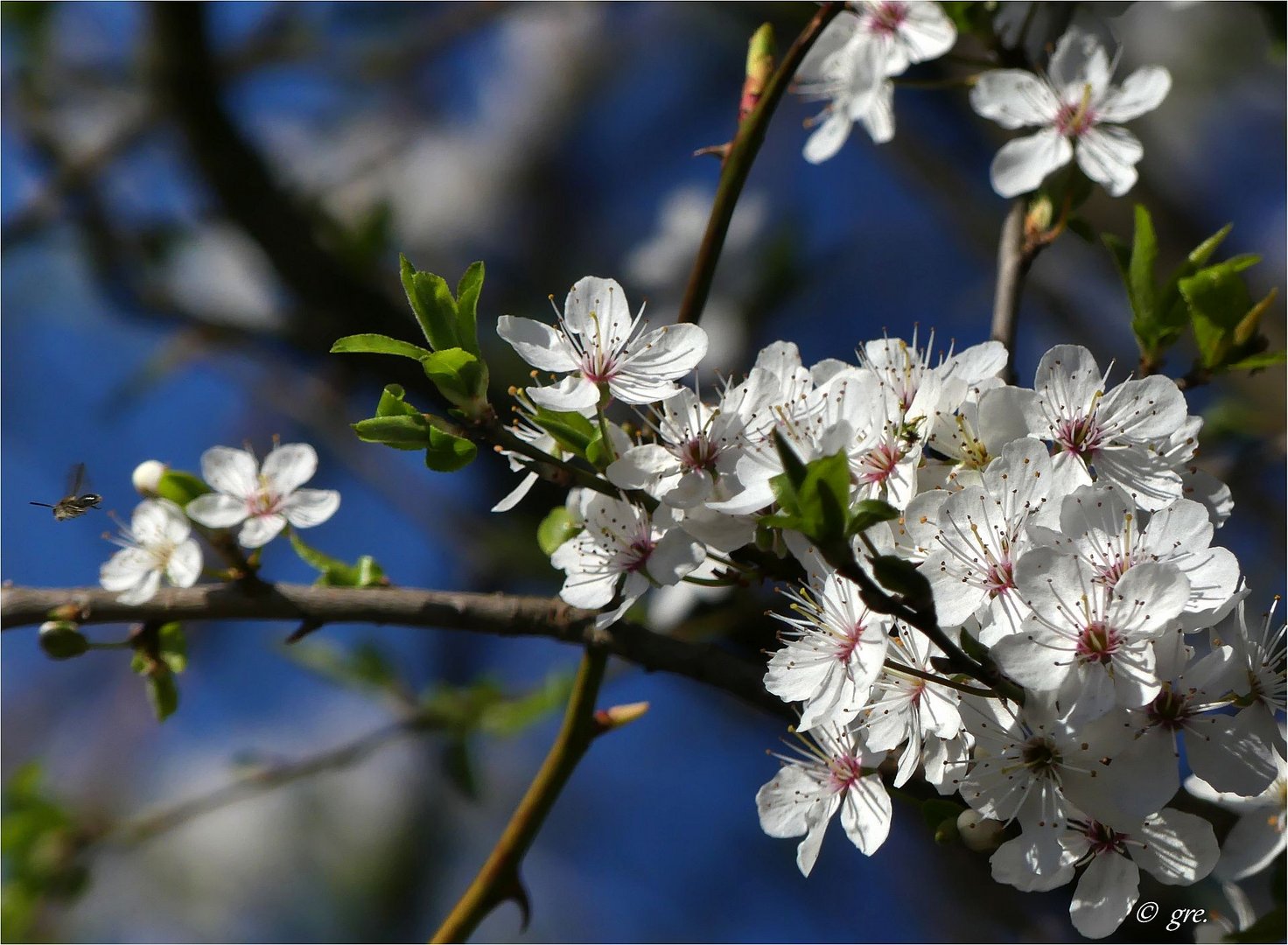 Und plötzlich war es Frühling **