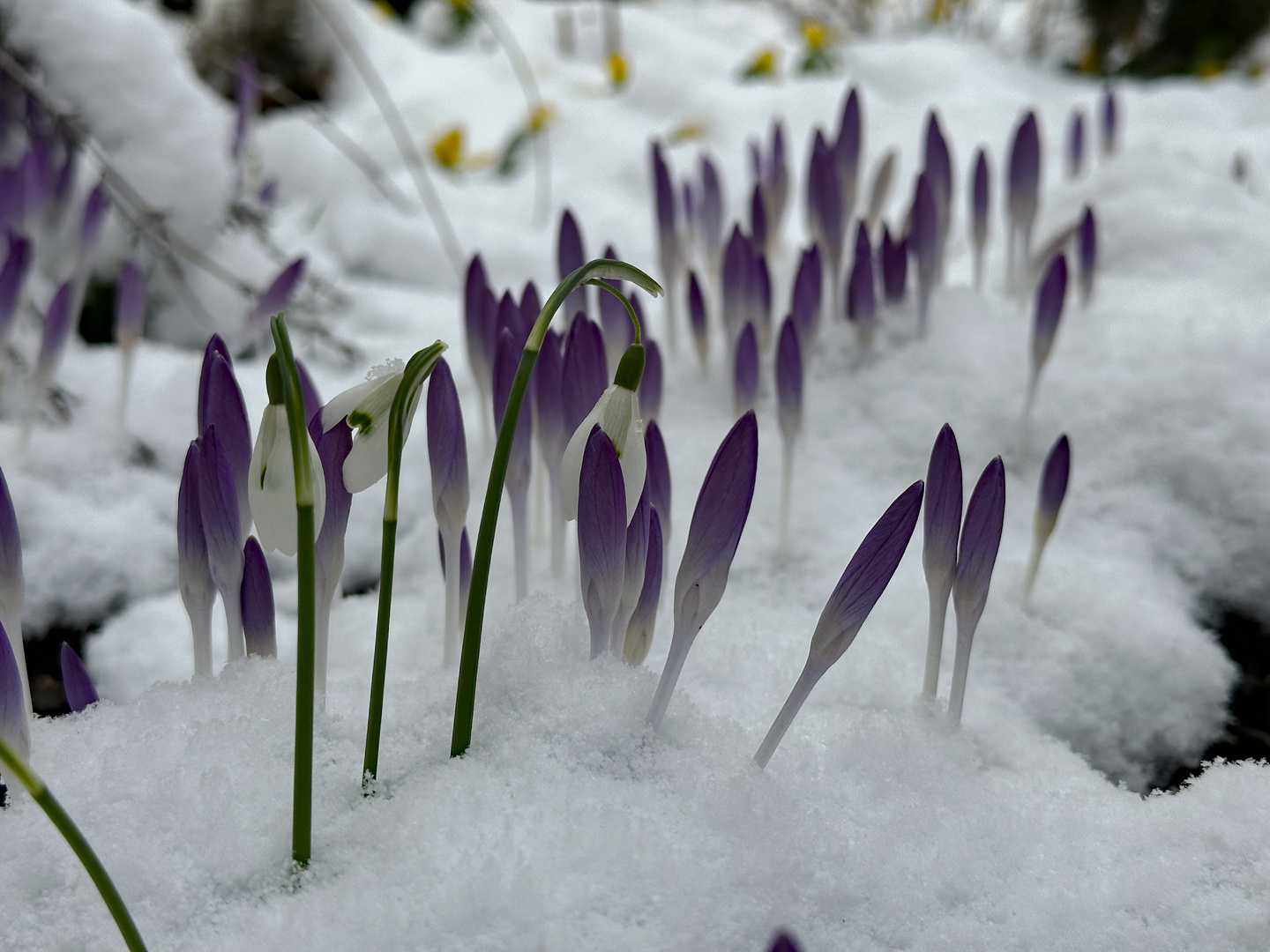 Und plötzlich war nochmal Winter