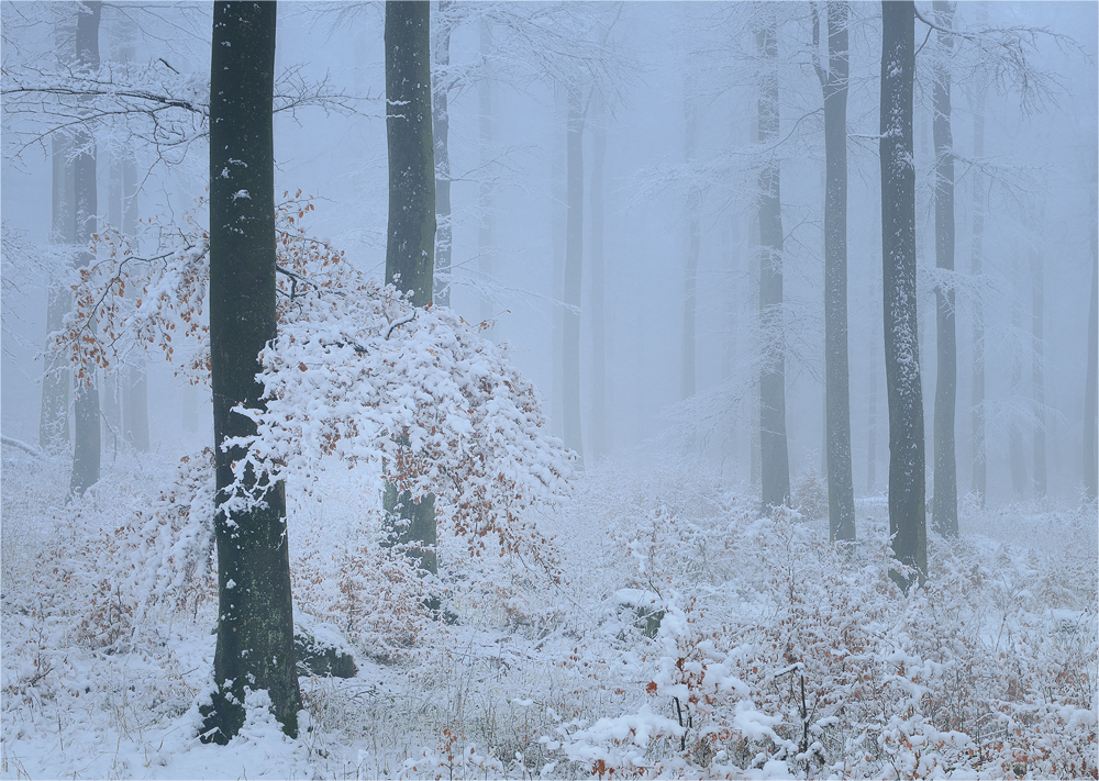 Und plötzlich war Winter!