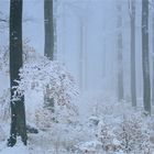 Und plötzlich war Winter!