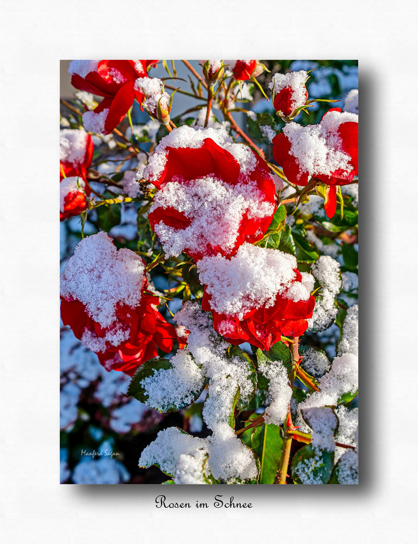 Und plötzlich war Winter... 