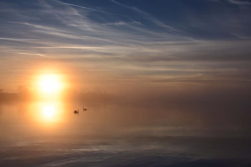 und plötzlich zog Nebel auf....