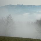 ... und plötzlich zog Nebel herein ...