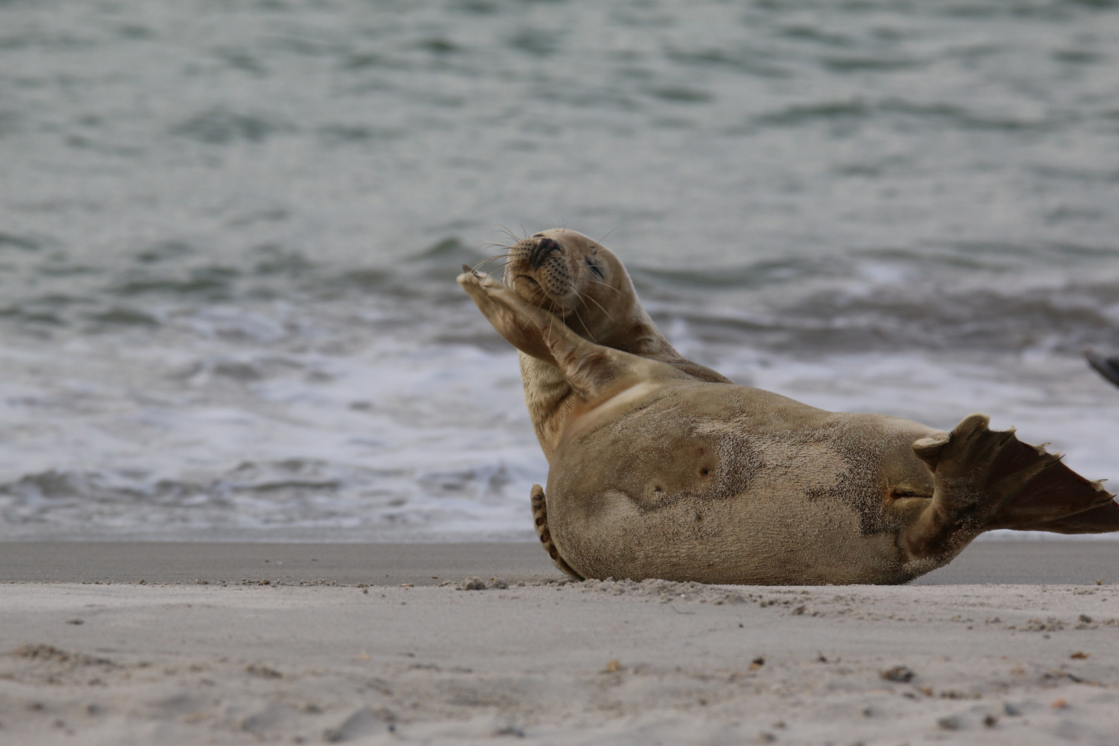 ...und Pose!