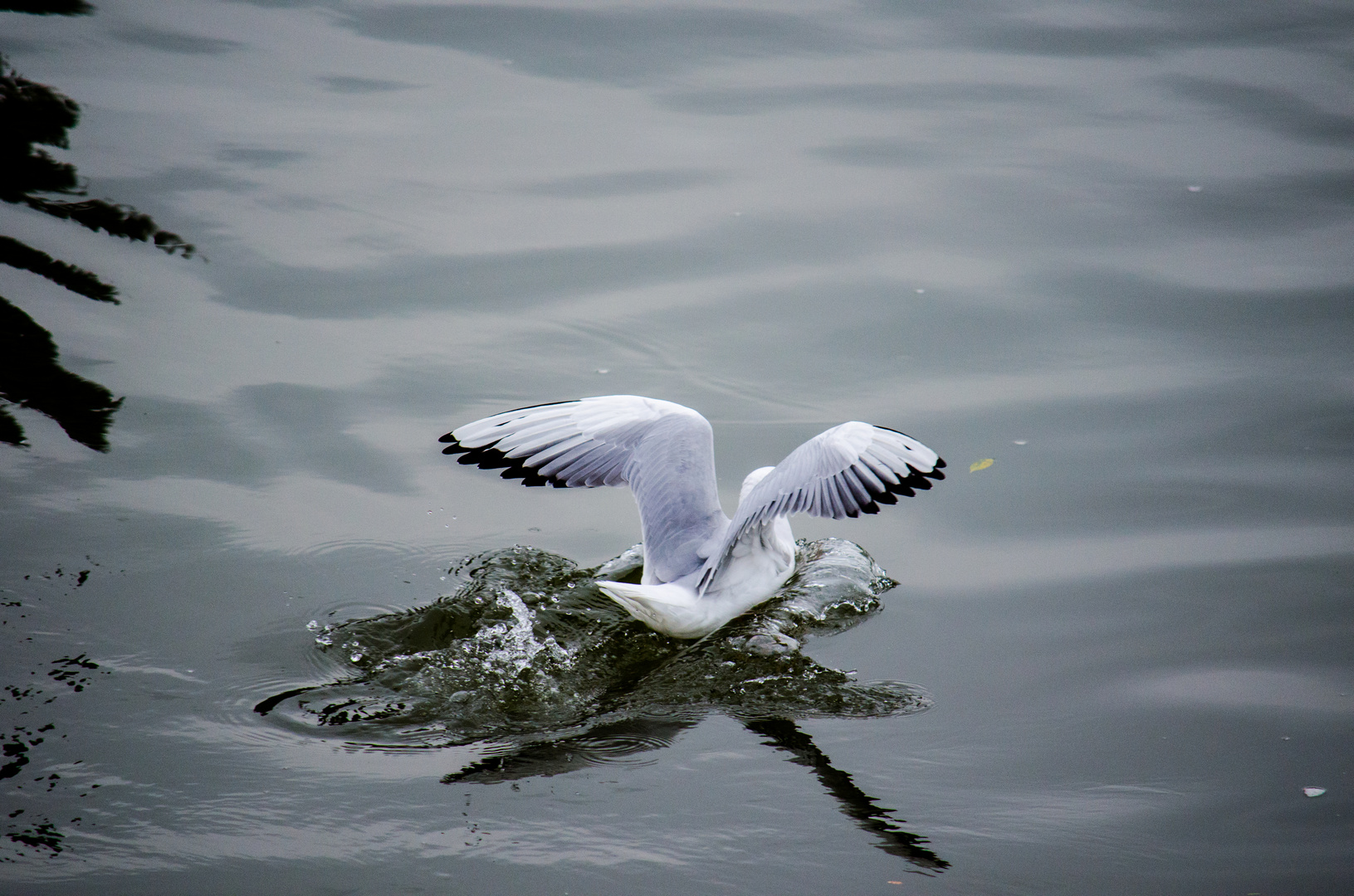 und rein ins Wasser..