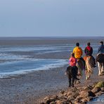 … und reiten dann am Strand