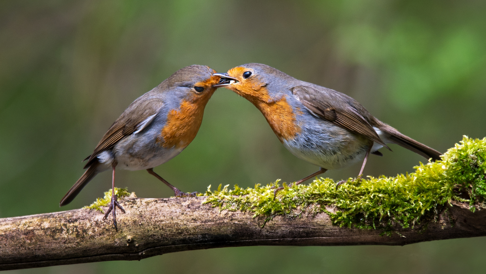 Und schmeckts?