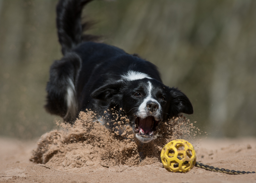 ....und schnapp hab ich den Ball