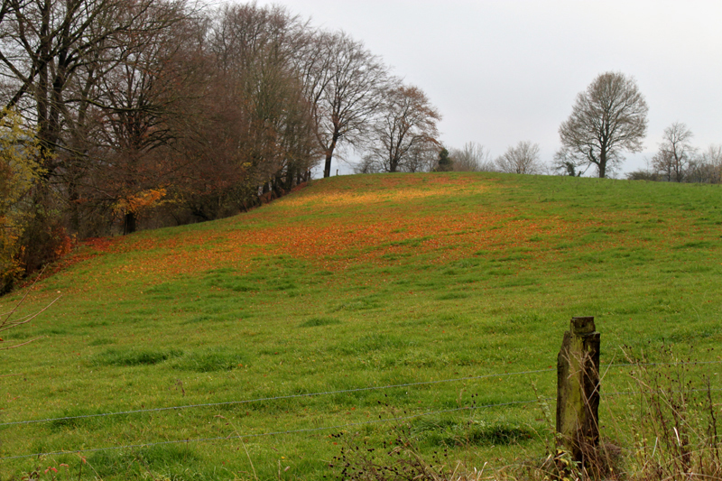 ... und schon ist der Herbst vorbei!