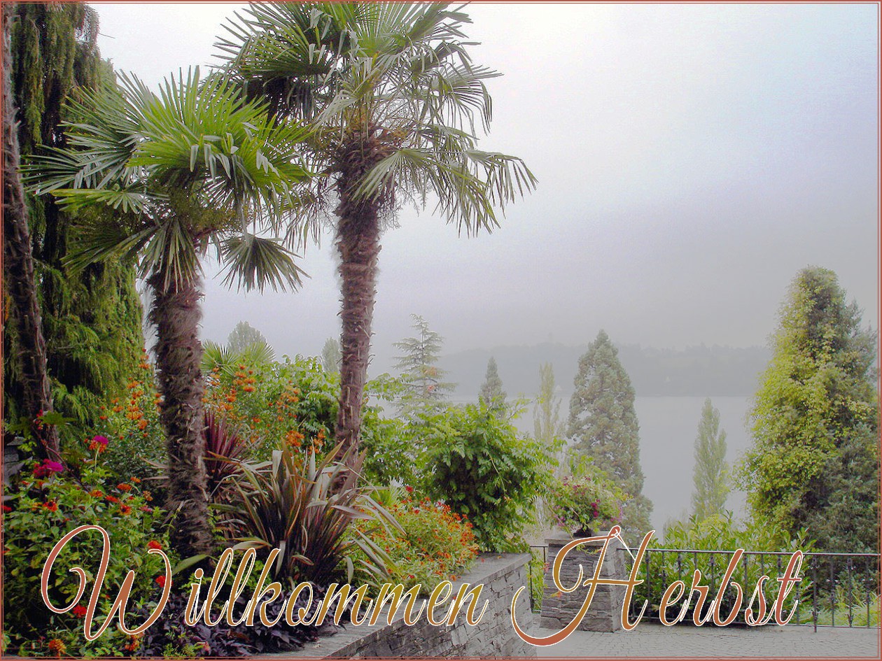 .... und schon ist es Herbst auf der Mainau