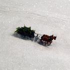 und schon sind wir in der Winterlandschaft Norwegens