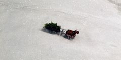 und schon sind wir in der Winterlandschaft Norwegens